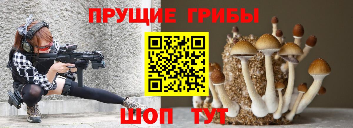 Псилоцибиновые грибы прущие грибы  Вход с VPN  Вышний Волочёк 